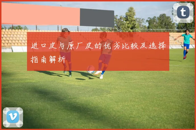 进口皮与原厂皮的优劣比较及选择指南解析