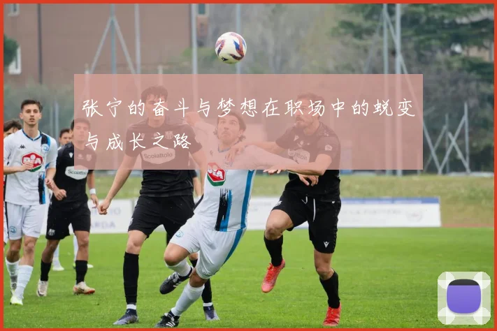 张宁的奋斗与梦想在职场中的蜕变与成长之路