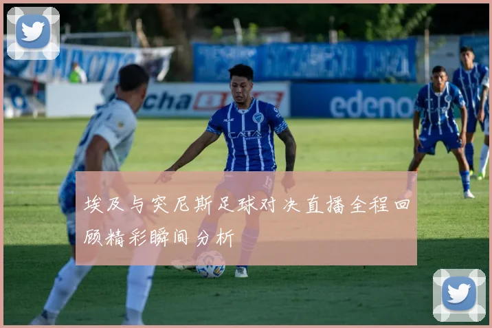 埃及与突尼斯足球对决直播全程回顾精彩瞬间分析
