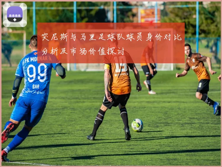 突尼斯与马里足球队球员身价对比分析及市场价值探讨