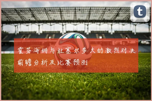 霍芬海姆与杜塞尔多夫的激烈对决前瞻分析及比赛预测