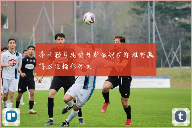 泽沃勒与鹿特丹斯激战在即谁将赢得这场精彩对决