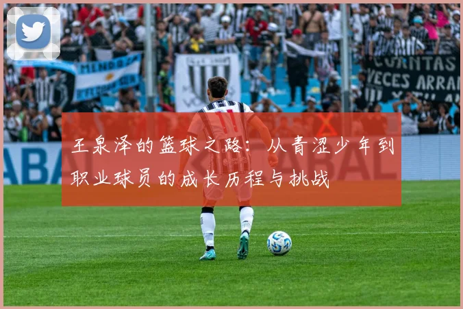 王泉泽的篮球之路：从青涩少年到职业球员的成长历程与挑战