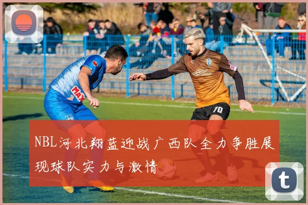 NBL河北翔蓝迎战广西队全力争胜展现球队实力与激情