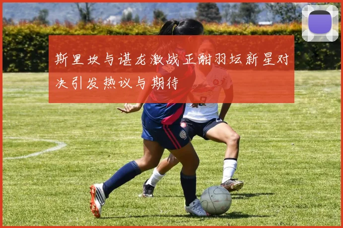 斯里坎与谌龙激战正酣羽坛新星对决引发热议与期待