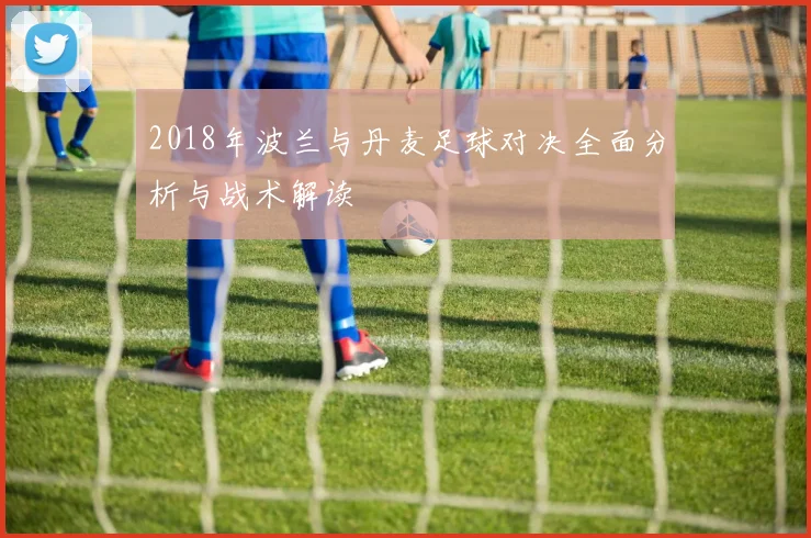 2018年波兰与丹麦足球对决全面分析与战术解读